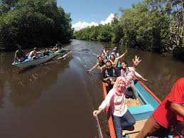 Mangrove Gamtala