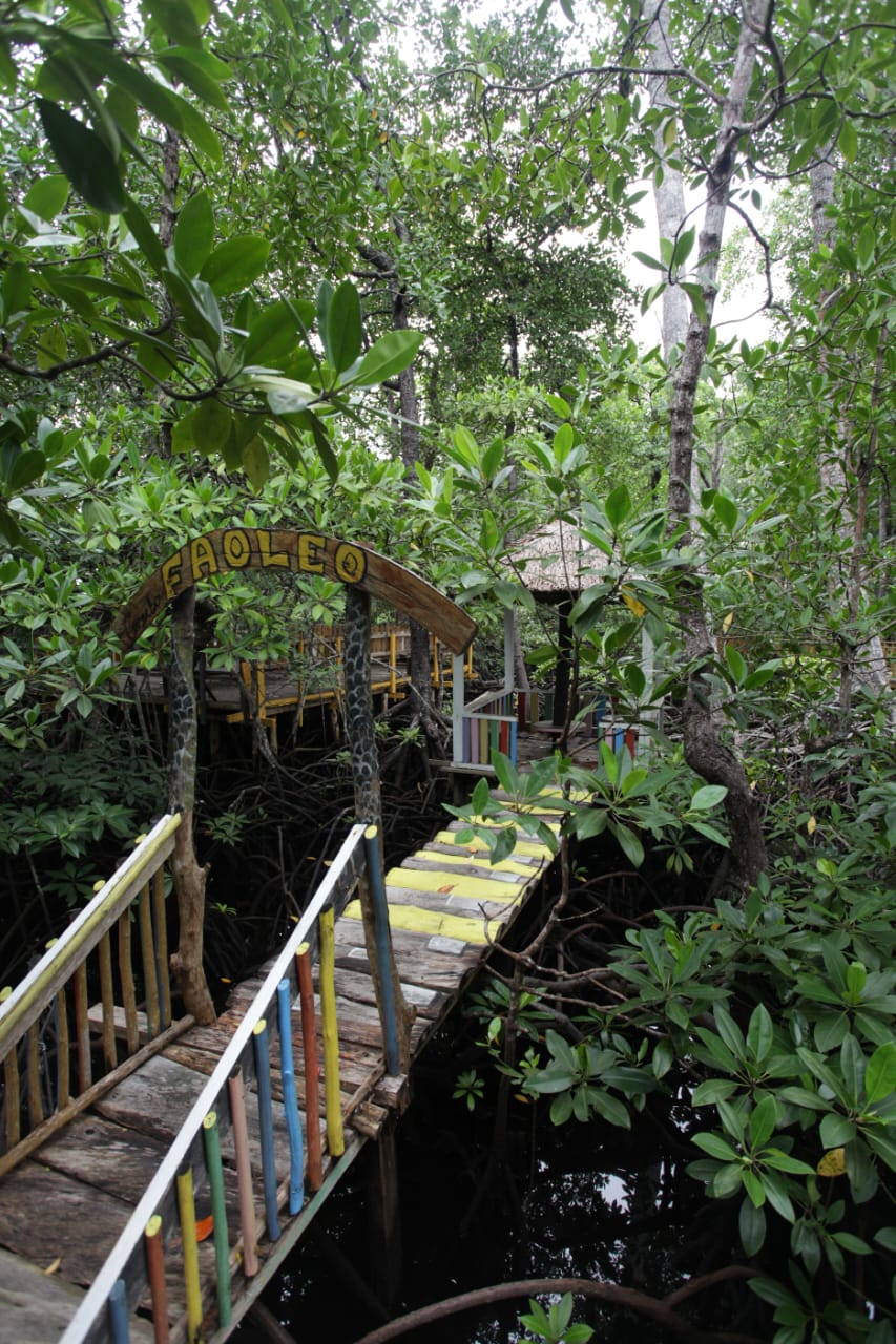 Hutan Mangrove Kacepi